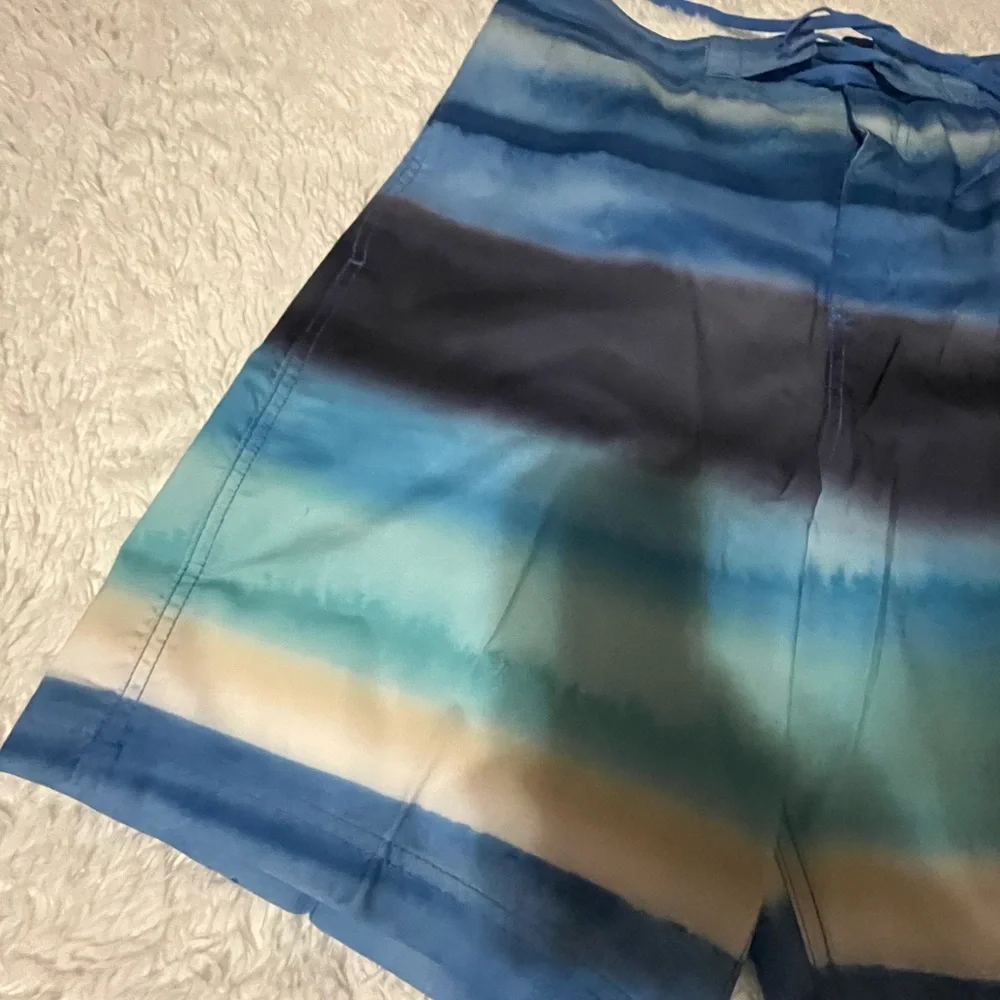 Speedo  blue striped UPF+50 protection swim trunks size L